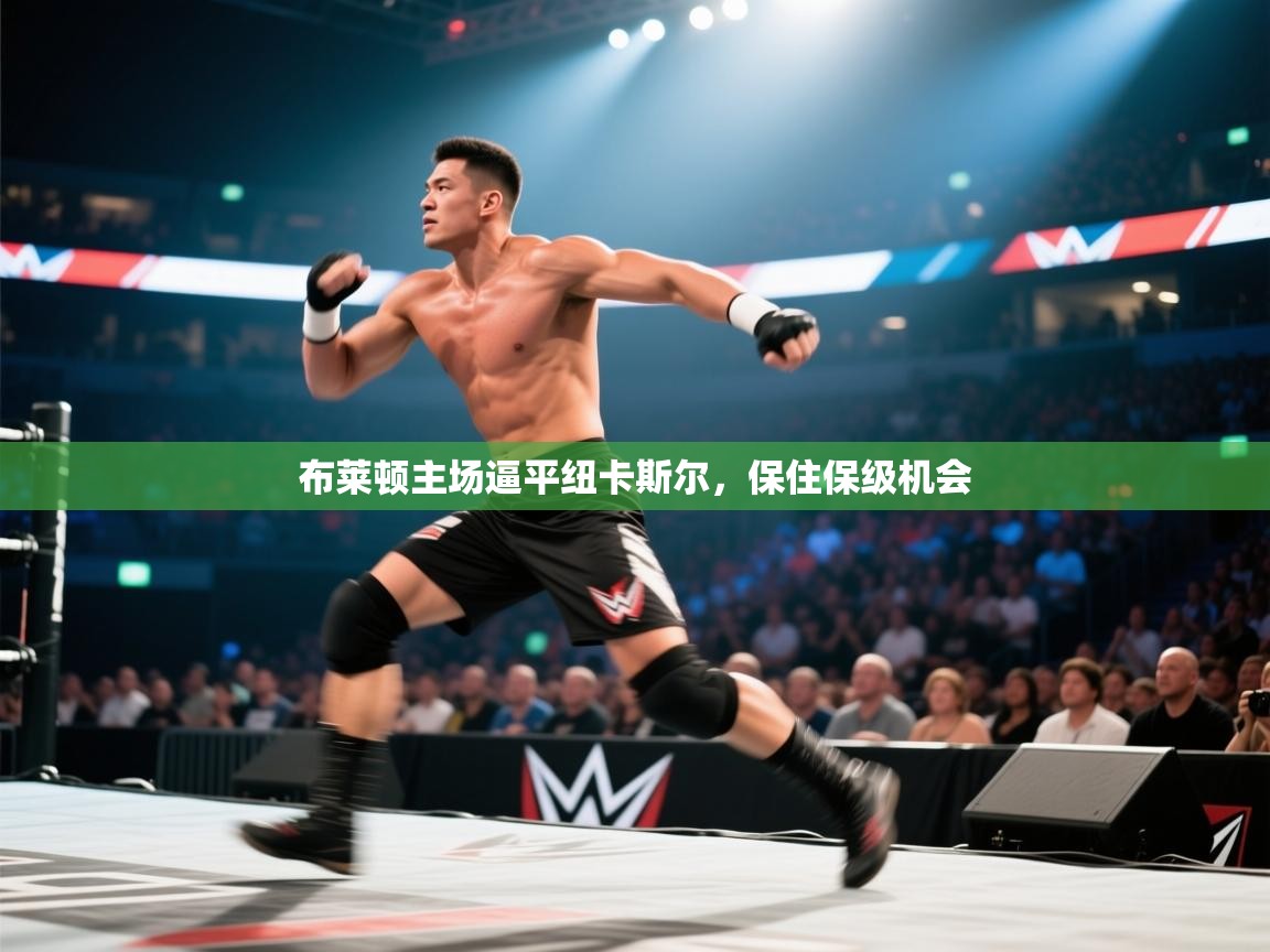 布莱顿主场逼平纽卡斯尔,保住保级机会 第2张