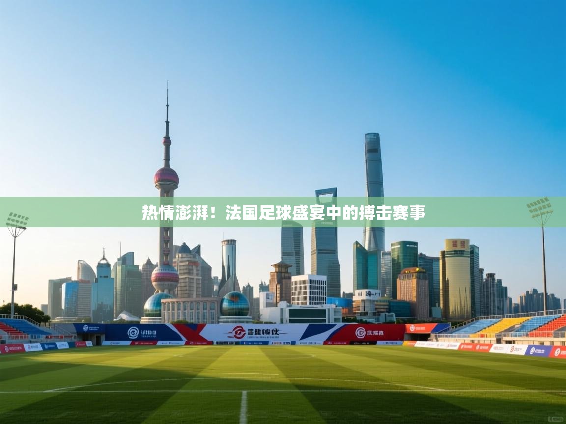 热情澎湃!法国足球盛宴中的搏击赛事 第1张