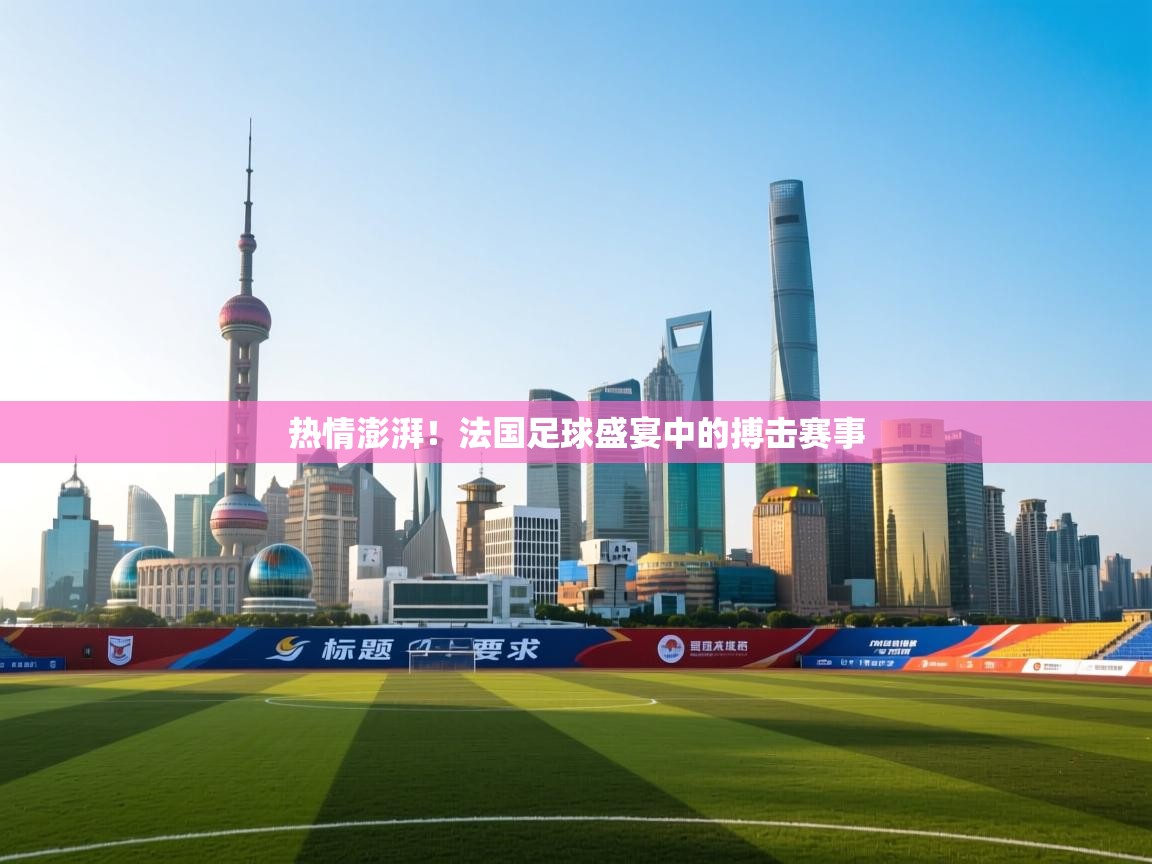 热情澎湃!法国足球盛宴中的搏击赛事 第2张